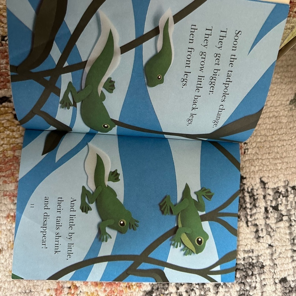 Children's Book Set - Colorful Story Collection - Picture 6 of 13